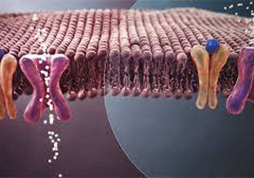 Diabetes Type 2 behandeling - Fysiotherapie